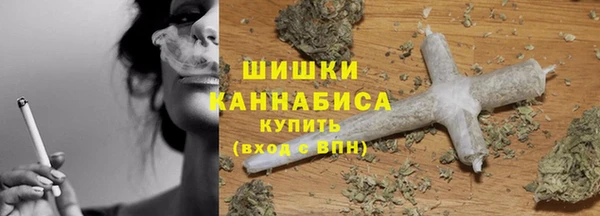 стаф Абаза