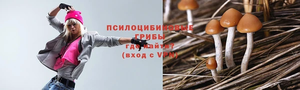 MDMA Premium VHQ Михайловка