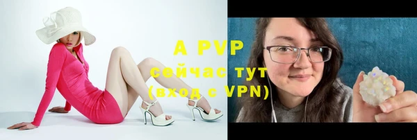 стаф Абаза