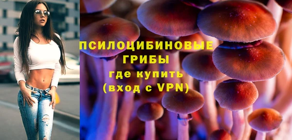 стаф Абаза
