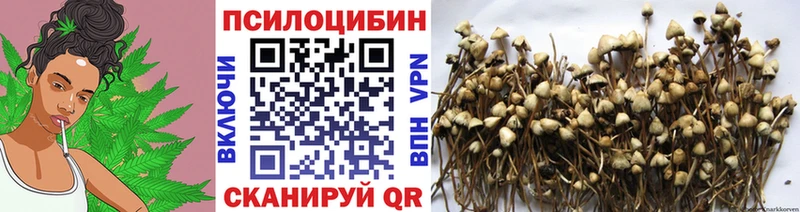 Псилоцибиновые грибы GOLDEN TEACHER дарк нет официальный сайт Тихорецк